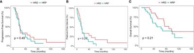 The prognostic and predictive value of homologous recombination deficiency status in patients with advanced stage epithelial ovarian carcinoma after first-line platinum-based chemotherapy